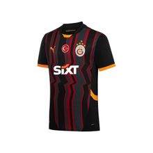 Galatasaray Puma 2024/2025 77964903 Alternatif Erkek Forma