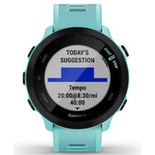 Garmin Forerunner 55 Akıllı Saat