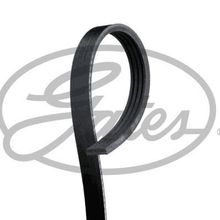 Gates 4PK643SF Kanallı Kayış