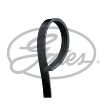 Gates 4PK668 Kanallı Kayış