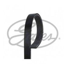 Gates 5PK1030 Kanallı Kayış