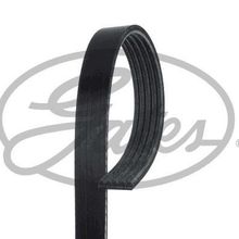 Gates 5PK1510 Kanallı Kayış