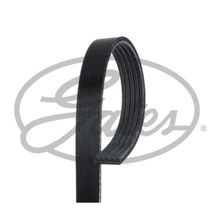 Gates 5PK955 Kanallı Kayış