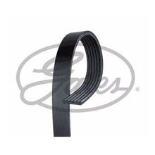 Gates 6PK1285 Micro-V Horizon Kayış