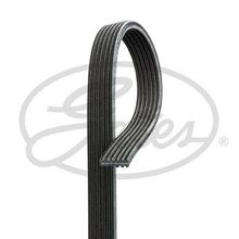 Gates 6PK1488 Kanallı Kayış