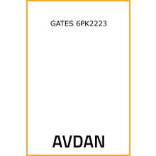 Gates 6PK2223 Kanallı Kayış