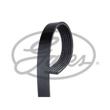 Gates 6PK780SF Kanallı Kayış
