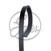 Gates 6PK988 Kanallı Kayış