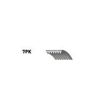 Gates 7PK1275T Kanallı Kayış
