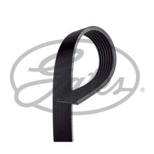 Gates 7PK1550 Kanallı Kayış