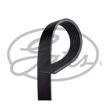 Gates 7PK2285 Kanallı Kayış