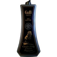 G&B Cosmetics Cavalier KC 1 lt Pet Şampuan