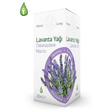 Gebece 20 cc Lavanta Yağı