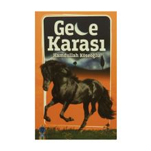 Gece Karası - Hamdullah Köseoğlu