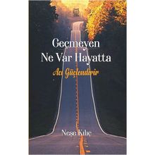 Geçmeyen Ne Var Hayatta - Neşe Kılıç
