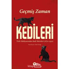 Geçmiş Zaman Kedileri Fatih Altuğ