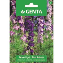 Genta Prestige Hazeran Çiçeği Süvari Mahmuzu Tohumu