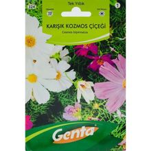 Genta Prestige Kozmos Çiçeği Meksika Yıldızı Tohumu