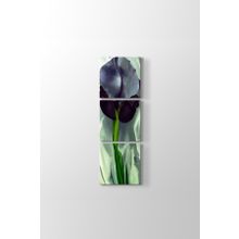 Georgia OKeeffe - Black Iris Tablosu