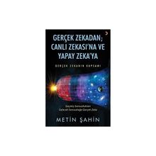 Gerçek Zekadan Canlı Zekasına ve Yapay Zekaya Cinius Yayınları