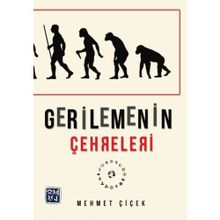 Gerilemenin Çehreleri - Mehmet Çiçek