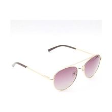 Gioferrari 5097 04 Polarize Unisex Güneş Gözlüğü