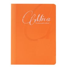Gıpta 1711 A5 Mica PP 60 Yaprak Çizgili Defter