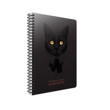 Gıpta 4200 Glow Notes 120 Yaprak Spiralli Sert Kapak Çizgili Defter