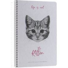 Gıpta Life Is Cool Çizgili Spiralli Sert Kapaklı 17 x 24 cm 120 Yaprak Defter