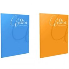 Gıpta Mica 2'li A5 40 Yaprak Tel Dikişli Plastik Kapak Kareli Defter