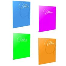 Gıpta Mica A4 40 Yaprak Tel Dikişli Plastik Kapak Çizgili Defter