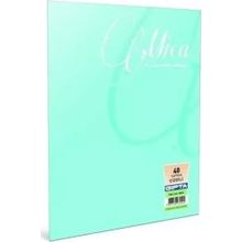 Gıpta Mica Pp Kapak 40 Yaprak A5 Defter