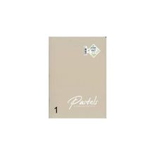 Gıpta Pastels A4 80 Yaprak Kareli Defter