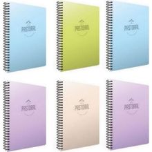 Gıpta Pastoral 3 Kareli + 3 Çizgili Pp Kapak 120 Yaprak A4 Spiralli Defter
