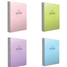 Gıpta Pastoral 4'lü 120 Yaprak A4 Spiralli Pp Kareli Kapak Defter