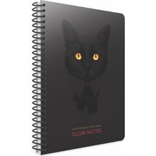 Gıpta Pist 17x24 120 Yaprak Kareli Defter