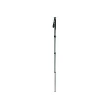 Gitzo GM2541 Monopod