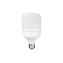 Global K2 KES132 40W 6500K E27 Led T Ampul