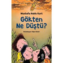 Gökten Ne Düştü? - Mustafa Hakkı Kurt