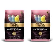 Gold Wings Premium Yavru Muhabbet Kuşu 2x1 kg Kuş Yemi