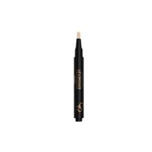 Golden Rose Hd No:10 High Definition Concealer