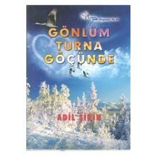 Gönlüm Turna Göçünde - Adil Şirin