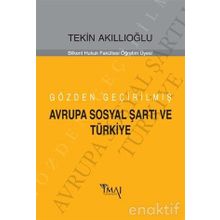 Gözden Geçirilmiş Avrupa Sosyal Şartı ve Türkiye - Tekin Akıllıoğlu