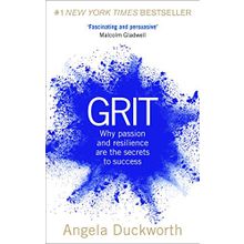 Grit : Why Passion And Resilience Are The Secrets To Success - Angela Duckworth