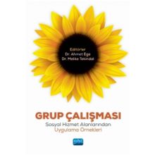 Grup Çalışması Sosyal Hizmet Alanlarından Uygulama Örnekleri - Melike Tekindal