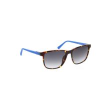 Guess 0001752C Unisex Güneş Gözlüğü
