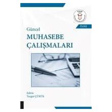 Güncel Muhasebe Çalışmaları - Kolektif