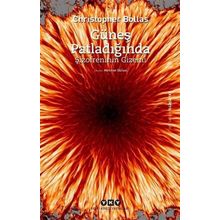 Güneş Patladığında Şizofrenin Gizemi - Christopher Bollas