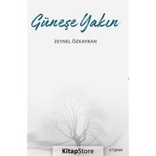 Güneşe Yakın - Zeynel Özkayran