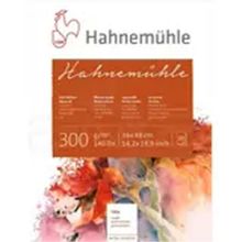 Hahnemühle 300 300 gr Rough 36x48 cm 10 Yaprak Sulu Boya Blok